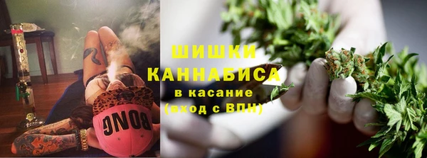 PSILOCYBIN Армянск