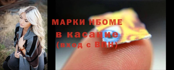 хмурый Аркадак