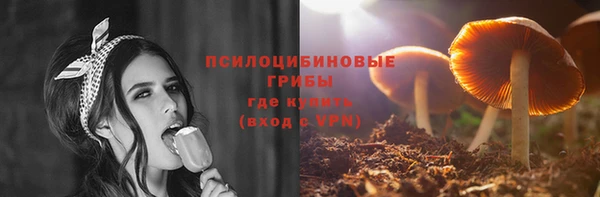 стаф Арсеньев