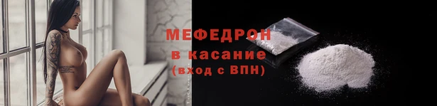 хмурый Аркадак