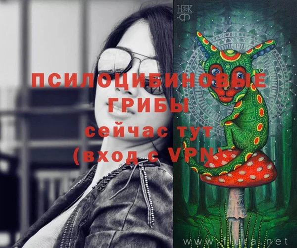 дмт Балабаново