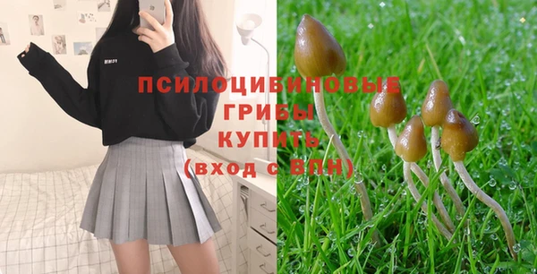 твердый Балахна