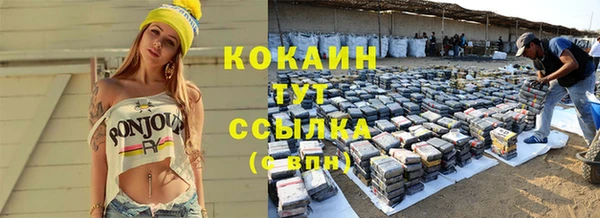 стаф Арсеньев