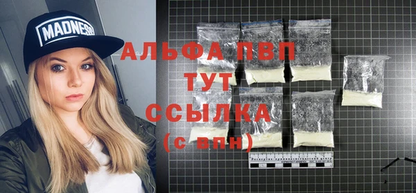 хмурый Аркадак