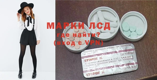 стаф Арсеньев
