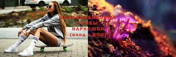 PSILOCYBIN Армянск