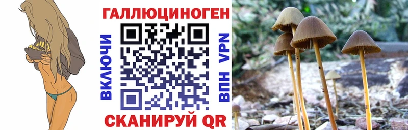 мега маркетплейс  Бокситогорск  Псилоцибиновые грибы Psilocybine cubensis 